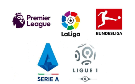 数次表现出 数次表现出